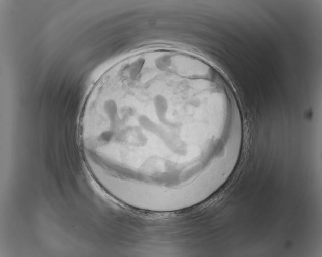 X0000115091535200912081223