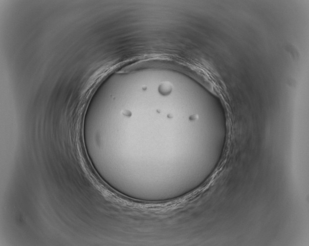 X0000115100001200911101554