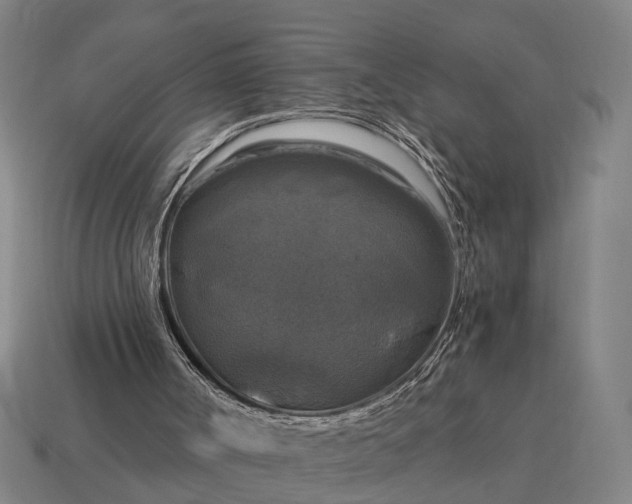 X0000115100002200911101554