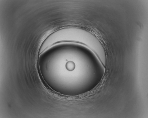 X0000115100003200911101554