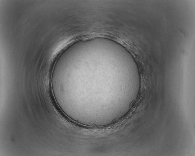 X0000115100005200911101554
