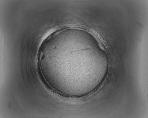 X0000115100008200911101554