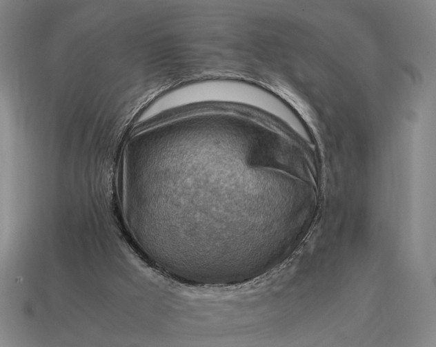 X0000115100009200911101554