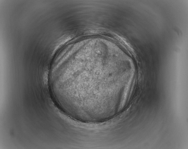 X0000115100010200911101554