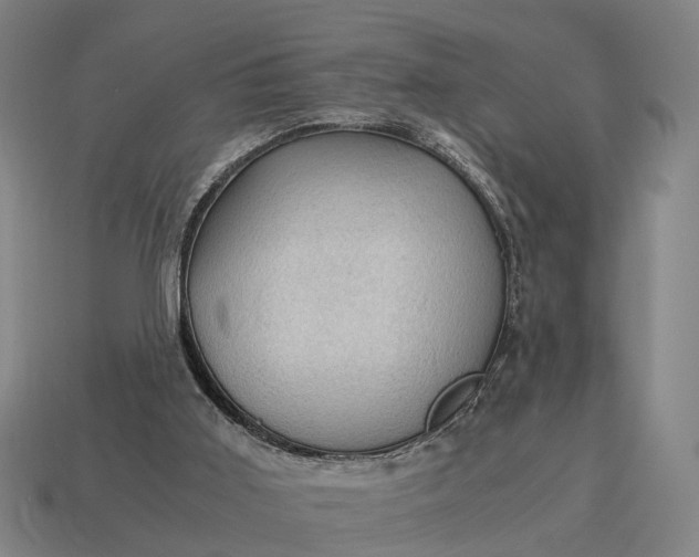 X0000115100011200911101554