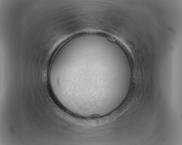 X0000115100015200911101554