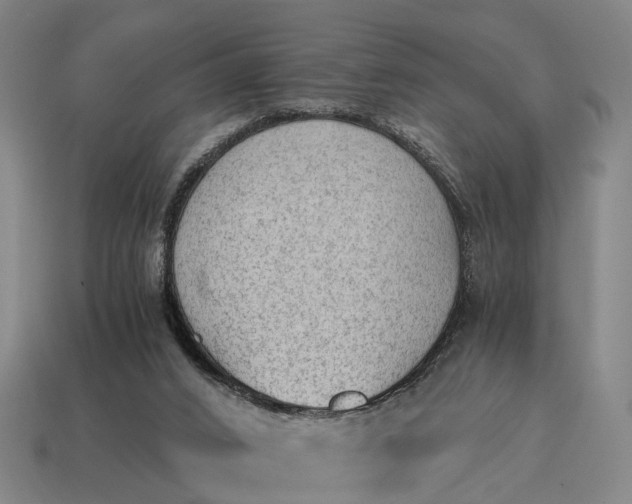 X0000115100016200911101554