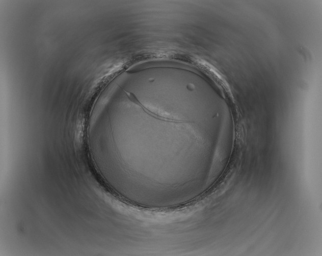 X0000115100018200911101554