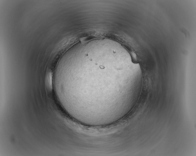 X0000115100022200911101554