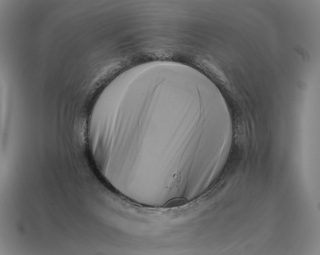 X0000115100023200911101554