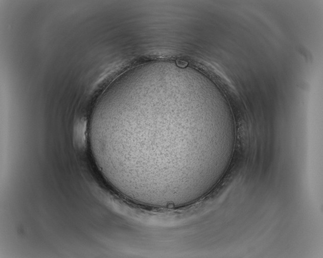 X0000115100024200911101554