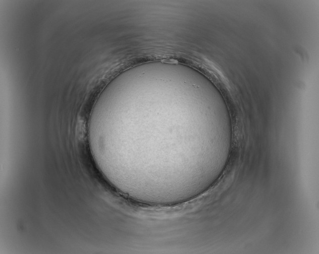 X0000115100025200911101554