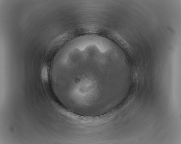 X0000115100026200911101554