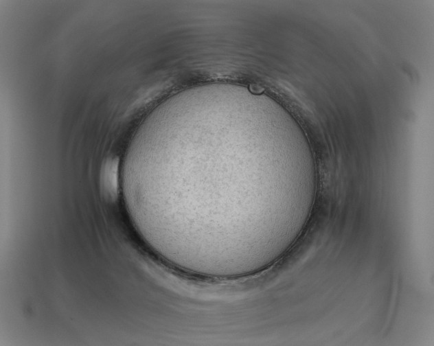X0000115100028200911101554
