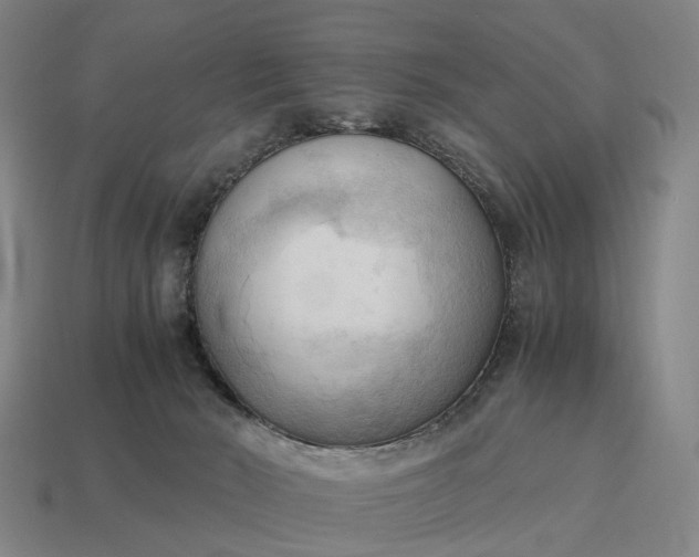 X0000115100030200911101554