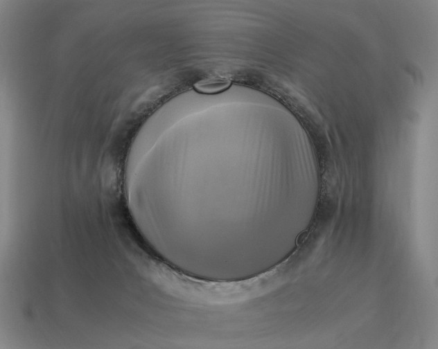 X0000115100031200911101554
