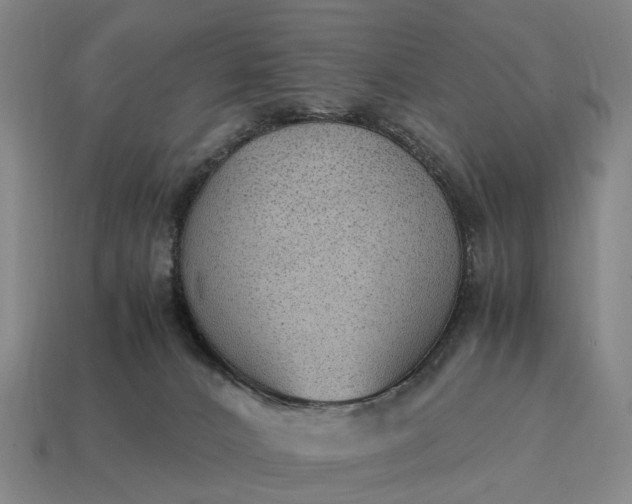 X0000115100032200911101554