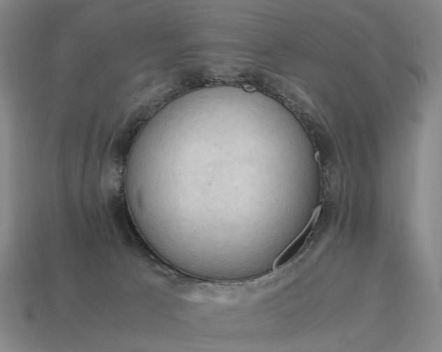 X0000115100033200911101554