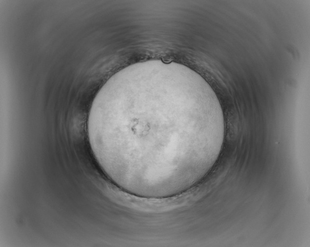 X0000115100034200911101554