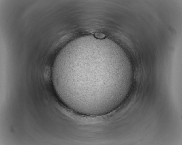 X0000115100036200911101554