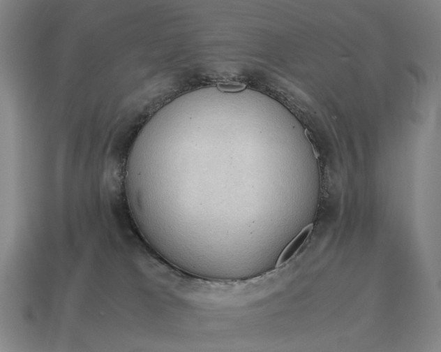 X0000115100037200911101554