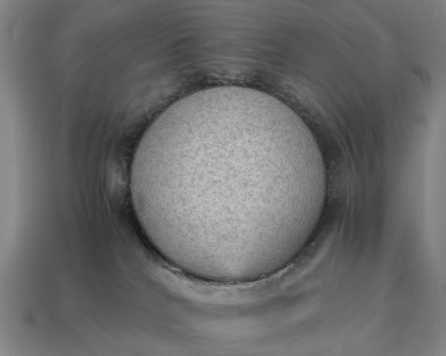 X0000115100040200911101554