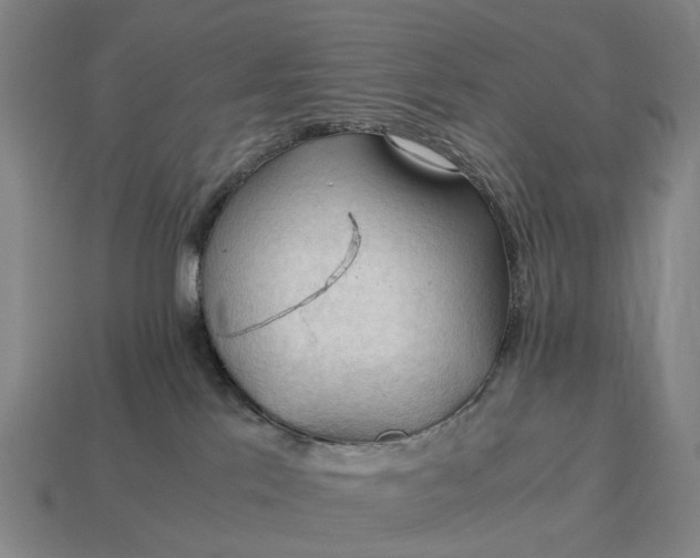 X0000115100041200911101554