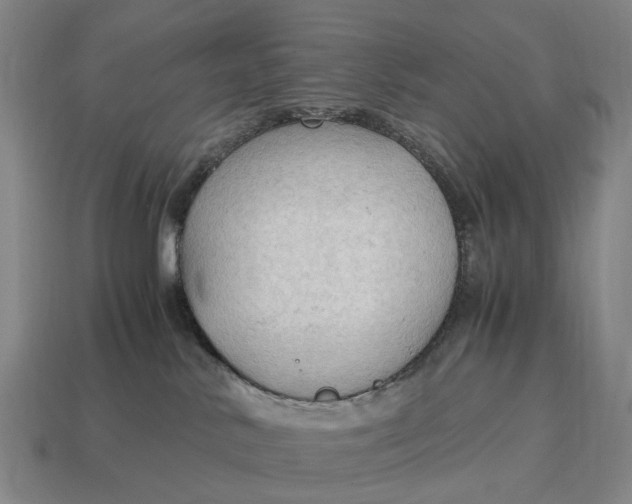 X0000115100042200911101554