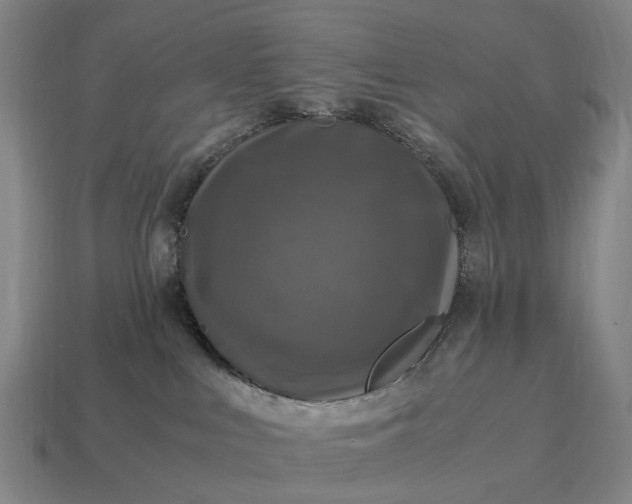 X0000115100043200911101553