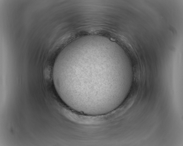 X0000115100044200911101553