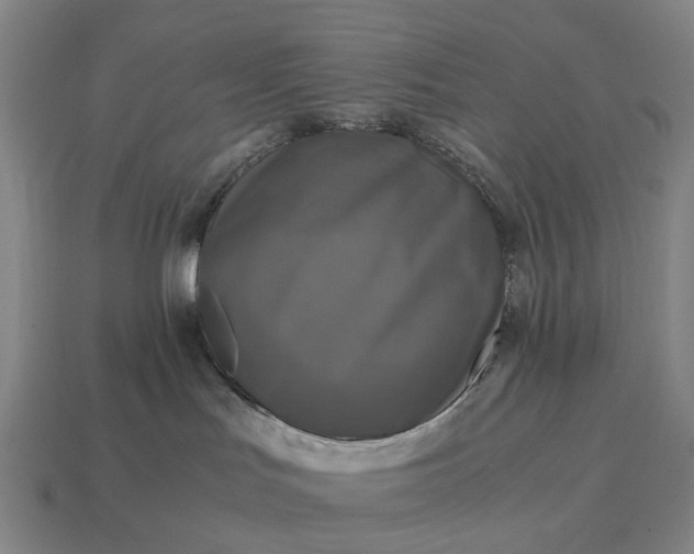 X0000115100047200911101553