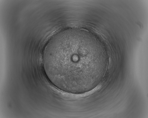 X0000115100048200911101553