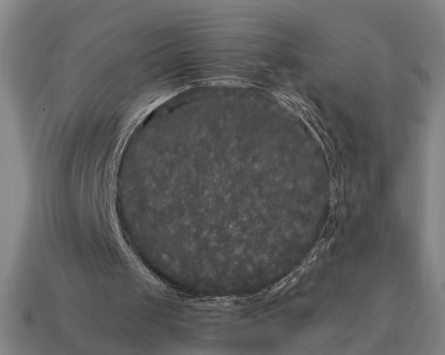 X0000115100049200911101553