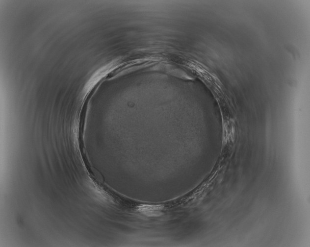 X0000115100051200911101553