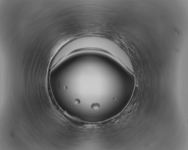 X0000115100052200911101553
