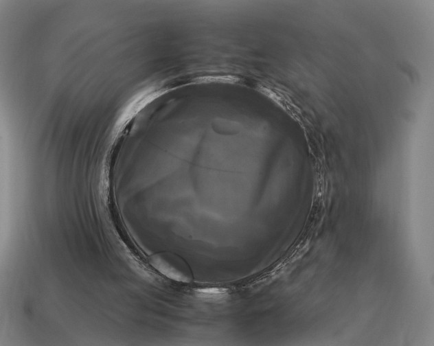 X0000115100053200911101553