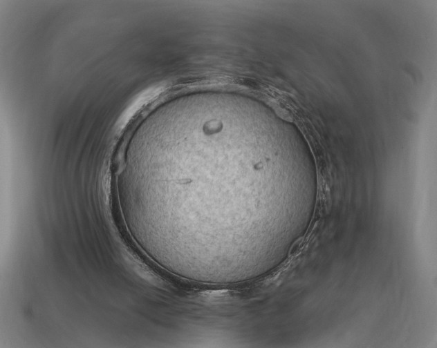X0000115100054200911101553