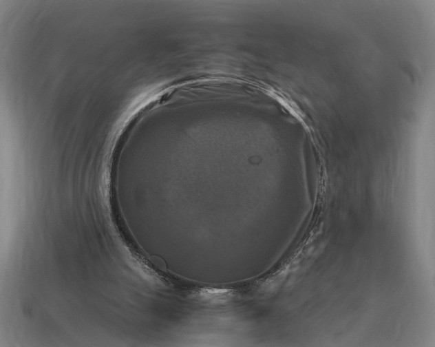 X0000115100055200911101553