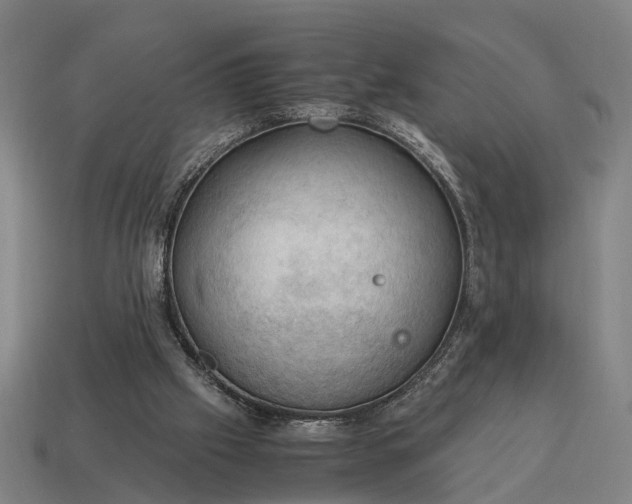 X0000115100057200911101553