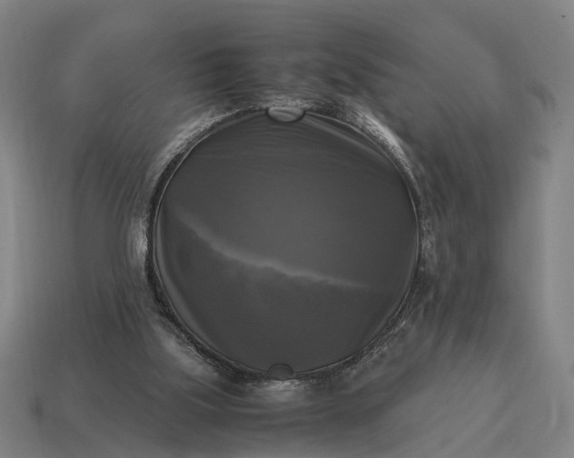 X0000115100059200911101553