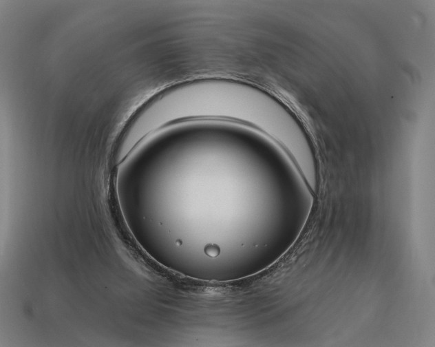 X0000115100060200911101553