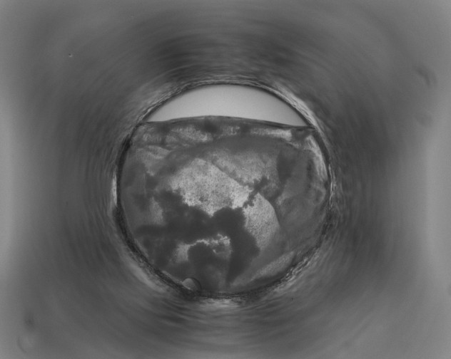 X0000115100061200911101553