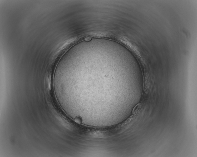 X0000115100062200911101553