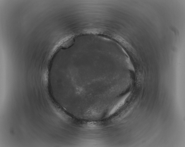 X0000115100064200911101553