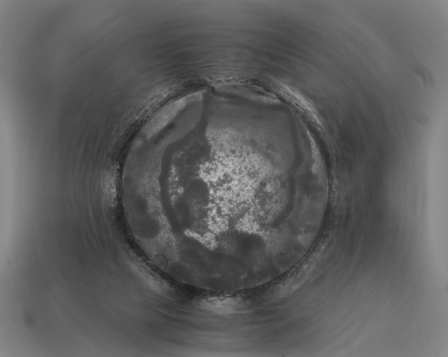 X0000115100065200911101553