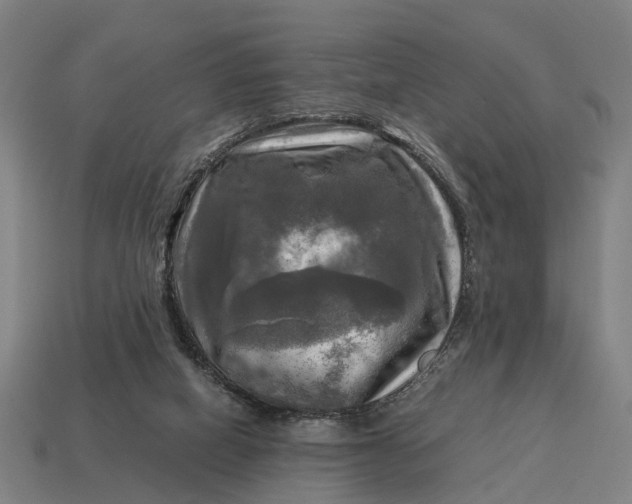 X0000115100066200911101553