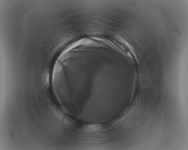 X0000115100067200911101553