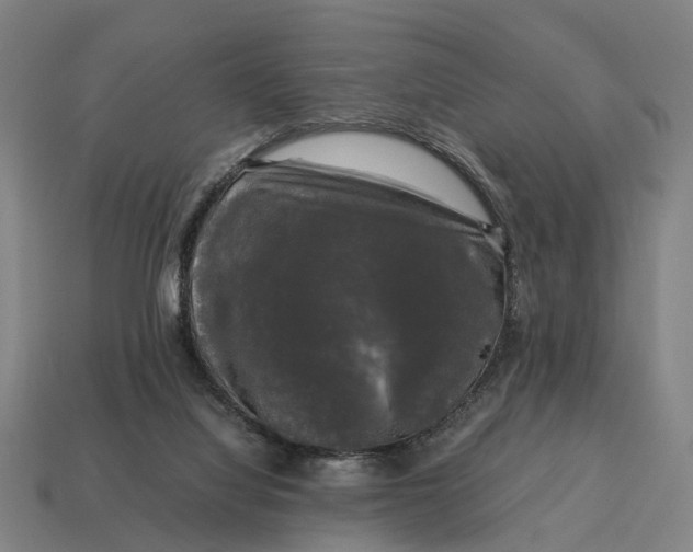 X0000115100068200911101553
