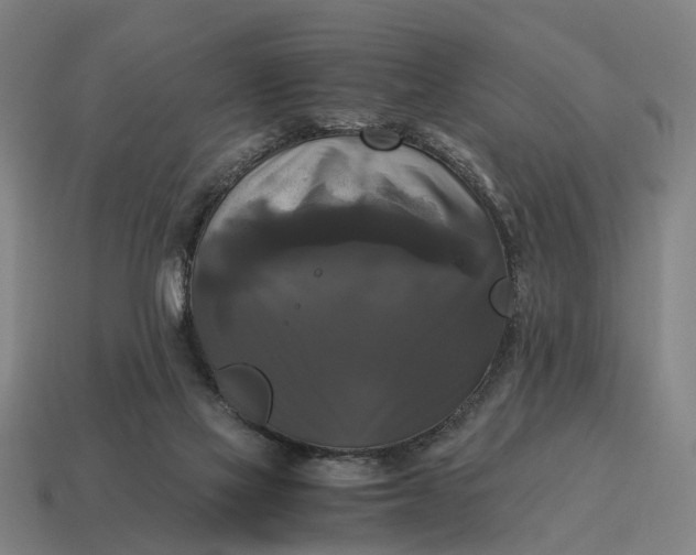 X0000115100069200911101553