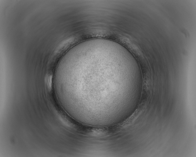 X0000115100070200911101553